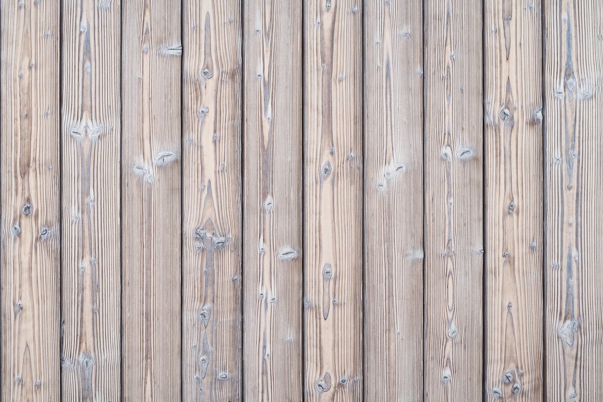 Cloud White charred spruce cladding